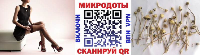 mega ТОР  darknet как зайти  Псилоцибиновые грибы Cubensis  продажа наркотиков  Саки 